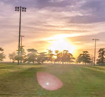 Morning view of field