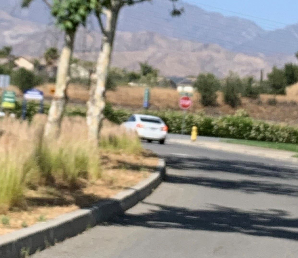 Strong Arm Suspect Vehicle