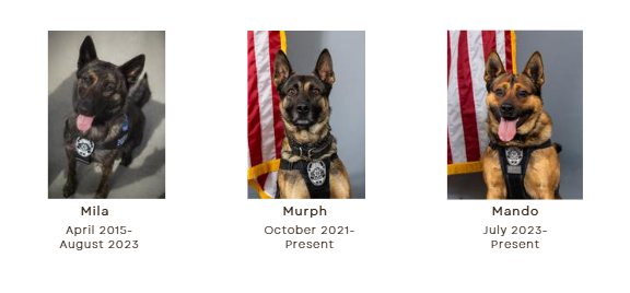 Screenshot 2025-12-16 144936